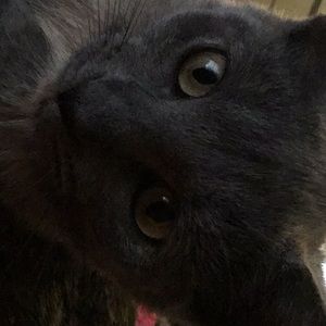 Meet your Posher, Silvia